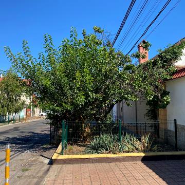 Писарева вул.