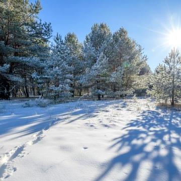 Михайлівка-Рубежівка, Бучанський, Київська область 22000.0 USD