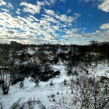 Південний бульв., 44