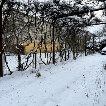 Садова вул., 15