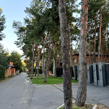 провулок лісовий