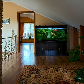 Невського Олександра вул.