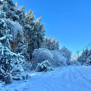 Микуличі, Бучанський, Київська область 3000000.0 USD