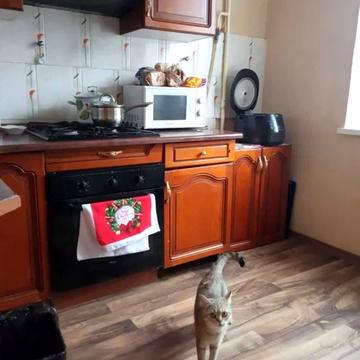 Михайла Котельникова вул., 25