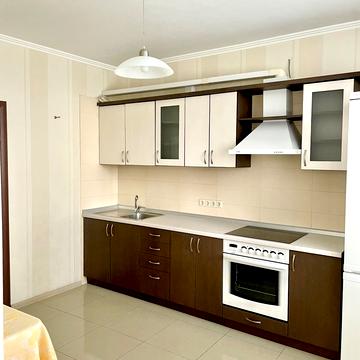 Олени Пчілки вул., 6