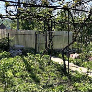 Центральна