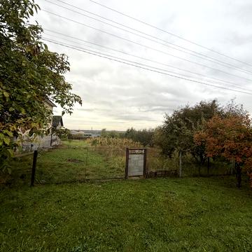 Висока, 41
