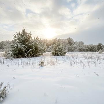 Дмитрівка, Бучанський, Київська область 11000.0 USD