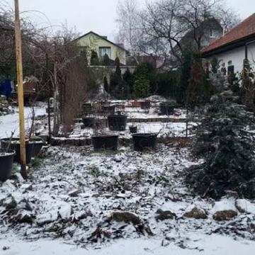 Абрикосова вул.