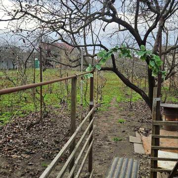 Патріотична вул., 72