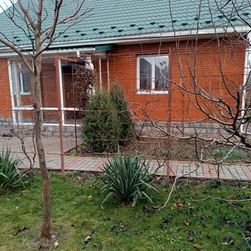 Коцюбинського