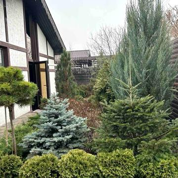 Криченкіна