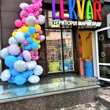 Вячеслава Чорновола вул., 2