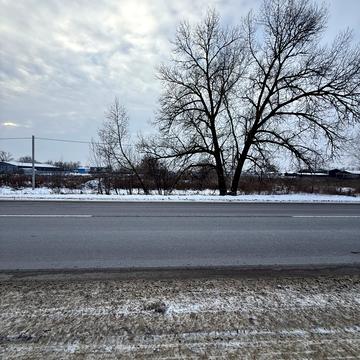 Несторівка, Бориспіль, Бориспільський, Київська область 130000.0 USD