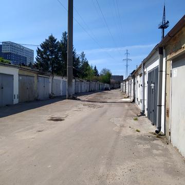 Буйка професора, 5