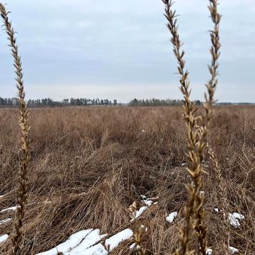 Блиставиця, Бучанський, Київська область 38000.0 USD