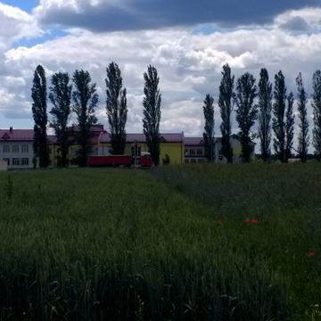 Чорнобильська, 25