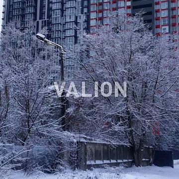 Академіка Булаховського вул., 2