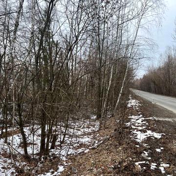 Гостомель, Бучанський, Київська область 11000.0 USD