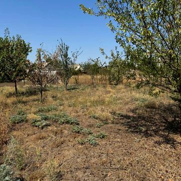 Клубна вул.