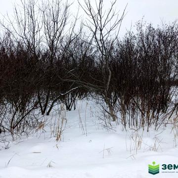 Клузів, Івано-Франківський, Івано-Франківська область 27000.0 USD