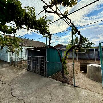 Центральна