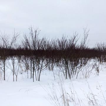 Клузів, Івано-Франківський, Івано-Франківська область 31500.0 USD