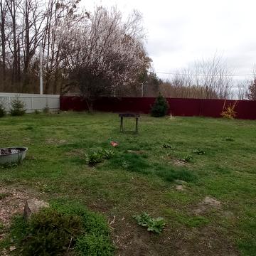 Кичеївська