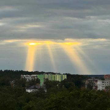 Павленка вул., 56