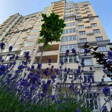 Краківська вул., 4-Б