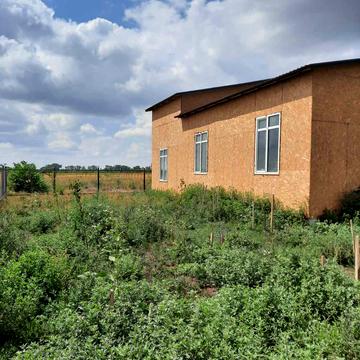 Абрикосова