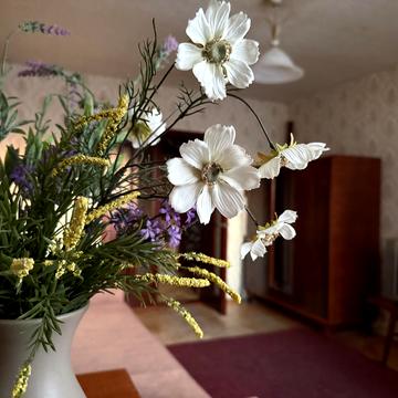 Оноре де Бальзака вул., 8-В