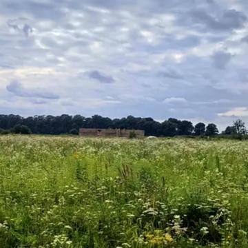 Оброшине, Львівський, Львівська область 21000.0 USD