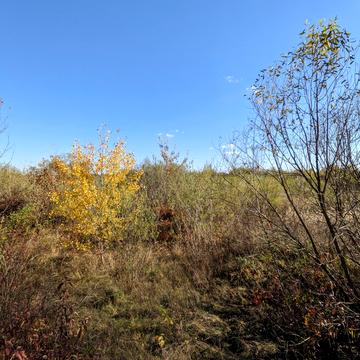 Старий Лисець, Івано-Франківський, Івано-Франківська область 14500.0 USD