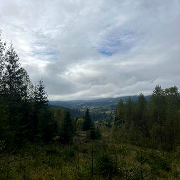 Сенечів, Калуський, Івано-Франківська область 55295.0 USD