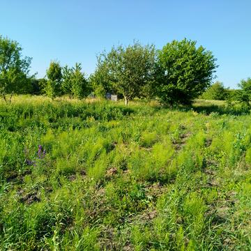 Медвеже Вушко, Вінницький, Вінницька область 8000.0 USD