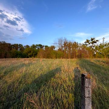 Михайлівка-Рубежівка, Бучанський, Київська область 14000.0 USD
