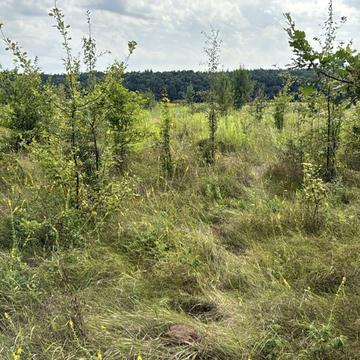 Переорки, Вінницький, Вінницька область 8500.0 USD