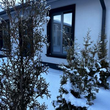 Бориса Лятошинського вул. (1 Травня)