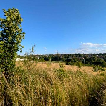 Чернівці, Чернівецька область 35000.0 USD