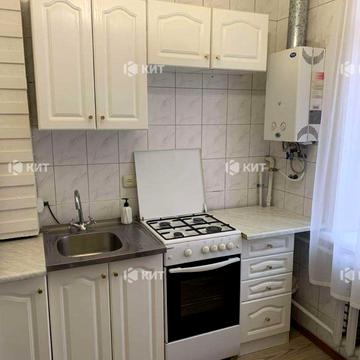 Данилевського вул., 24