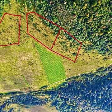 Ямельниця, Стрийський, Львівська область 70000.0 USD