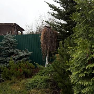 Лісова вул.