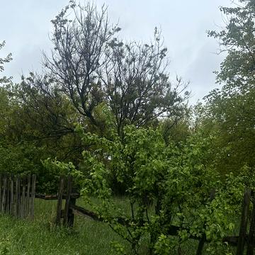 Северинівка, Бучанський, Київська область 80000.0 USD