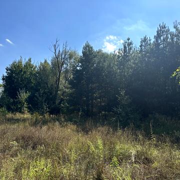 Березівка, Бучанський, Київська область 140000.0 USD