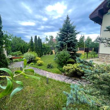 Самійла Кішки, 25