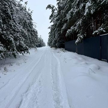 Ясногородка, Фастівський, Київська область 20500.0 USD