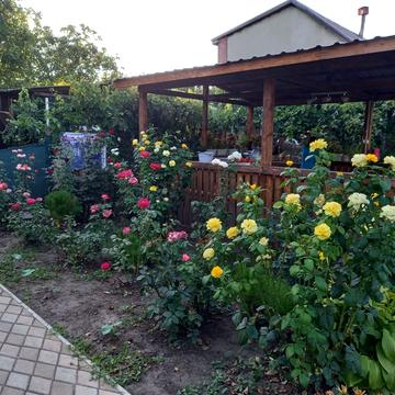 Центральна, 123