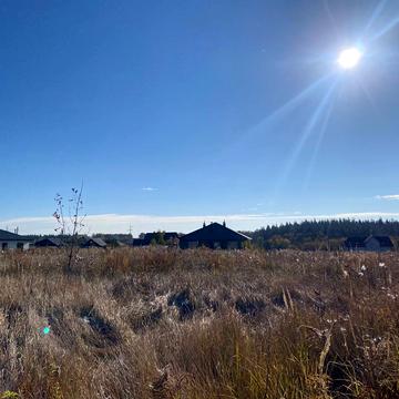 Петрушки, Бучанський, Київська область 22000.0 USD