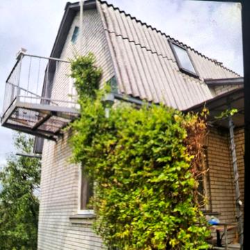 Незалежності